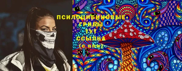 ПСИЛОЦИБИНОВЫЕ ГРИБЫ Михайловск