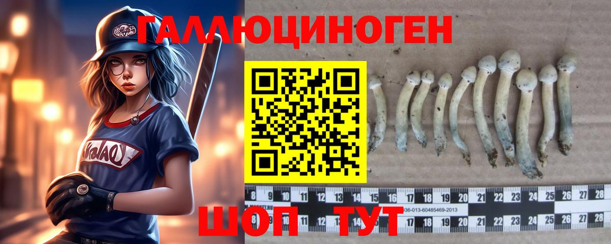 Галлюциногенные грибы Psilocybine cubensis Наро-Фоминск